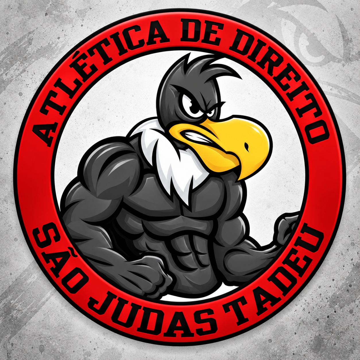 DIREITO SÃO JUDAS